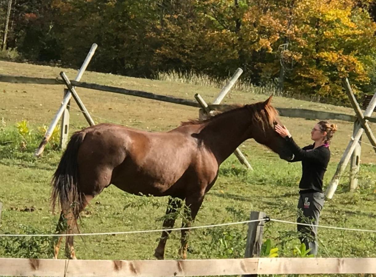 D & K Ranch Martha East Interlaken Zewnętrze zdjęcie